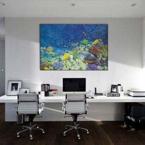 Sound Soak Printed Wallboards