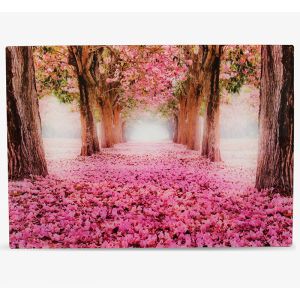 Printed Acrylic Pictures
