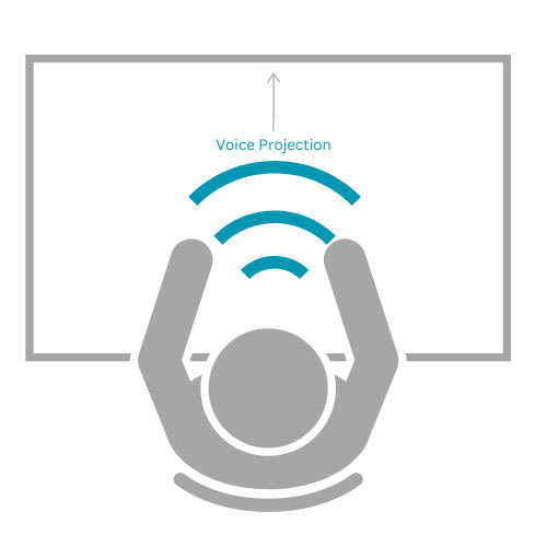Desktop Divider Voice Projection